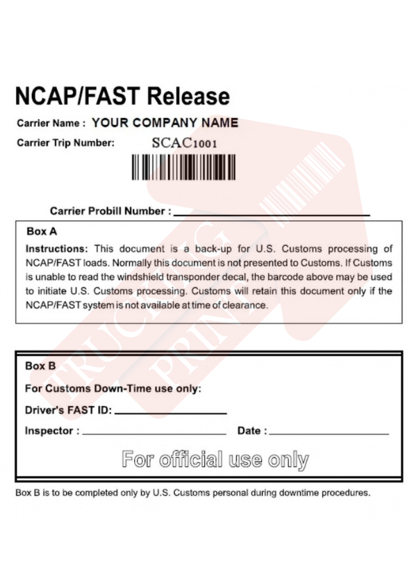 Fiche technique CSA (importateur)